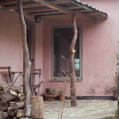 Cabana Do Dinamarques Em Arga De Baixo ภายนอก รูปภาพ