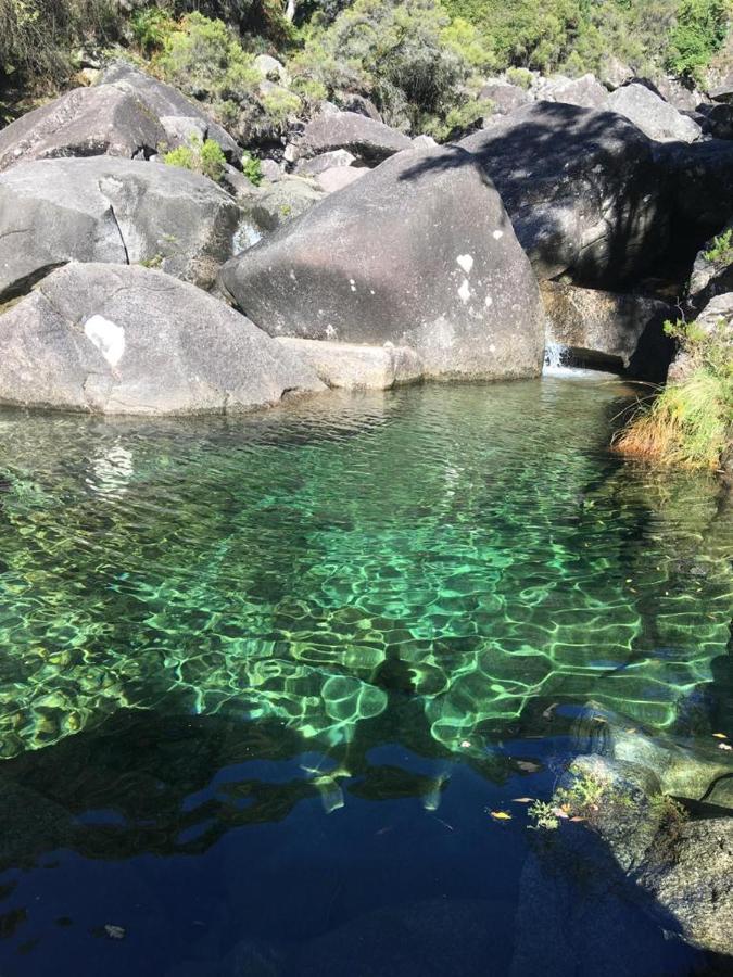 Cabana Do Dinamarques Em Arga De Baixo ภายนอก รูปภาพ